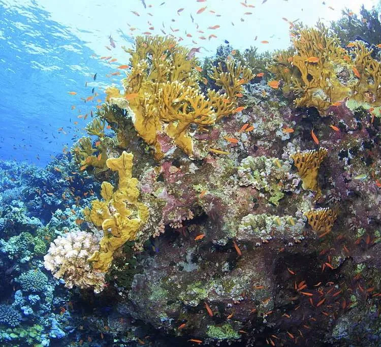 Raja Ampat Cruise